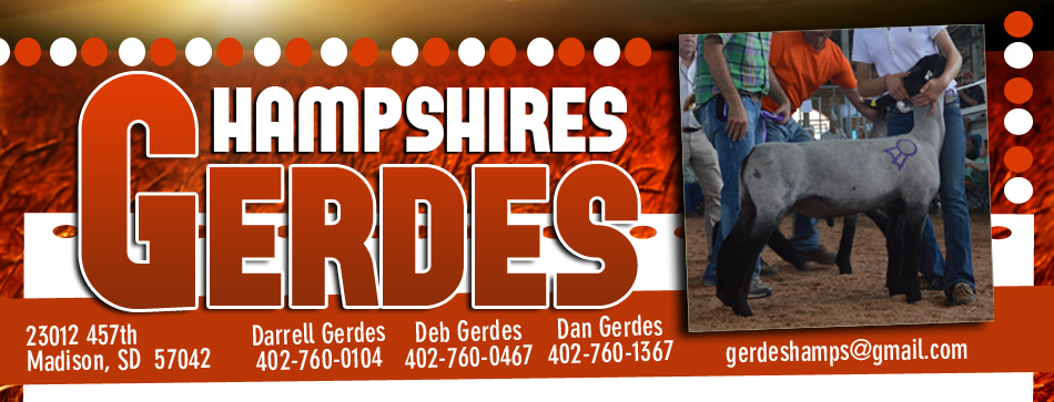 Gerdes Hampshires : Madison, SD